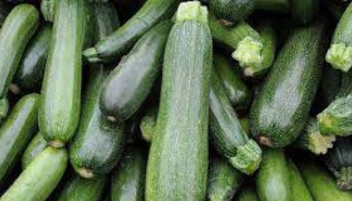 The Humble Zucchini: